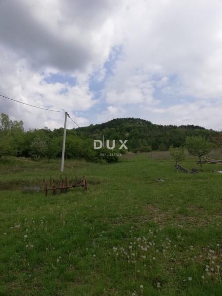 ISTRA, MOTOVUN - Prostrano građevinsko zemljište