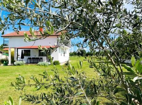 ISTRA, PULA - Top investicija: Kuća i 4200m² terena