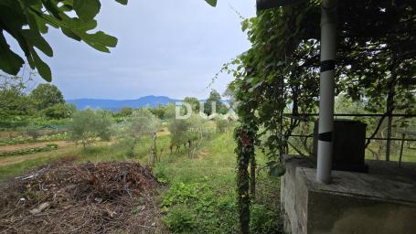 ISTRA, LABIN – Kućica u prirodi, potpuna osama s velikom okućnicom