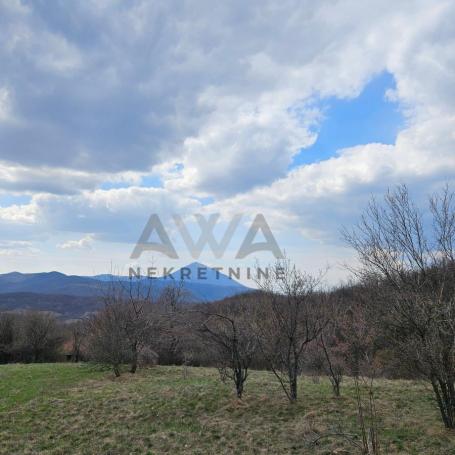 Boljevac - Dobro Polje , poljoprivredno i šumsko zemljište - 60.270m2