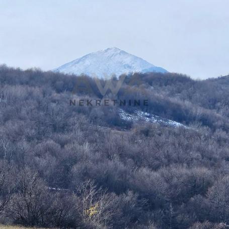Boljevac - Dobrujevac , zemljište u komadu povšine 44242m2 sa ucrtanim objektom 35m2