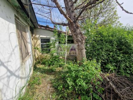 Bezdan. Kuća 91m2, plac 18ar