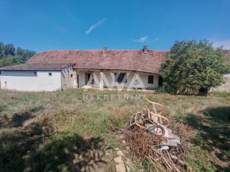 Bački Breg. Kuća, za rušenje 237m2, plac 42ar