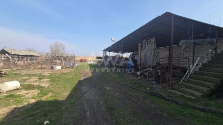 Salaš sa ribnjakom na prodaju – Kljajićevo, plac 3.8 ha