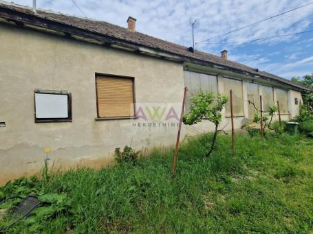 Kruščić – Kuća na skoro jutro placa sa zasadom lešnika