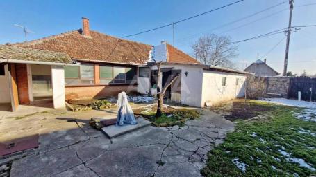 Bezdan, Kuća 175 m2 na placu od 1513 m2