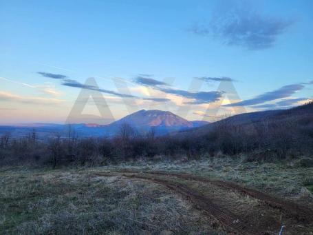 Jablanica - Boljevac   Poljoprivredno zemljiste , dve parcele u jednoj celini povrsine 10128m2