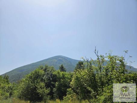 Boljevac- zemljiste u Boljevcu 1434mkv
