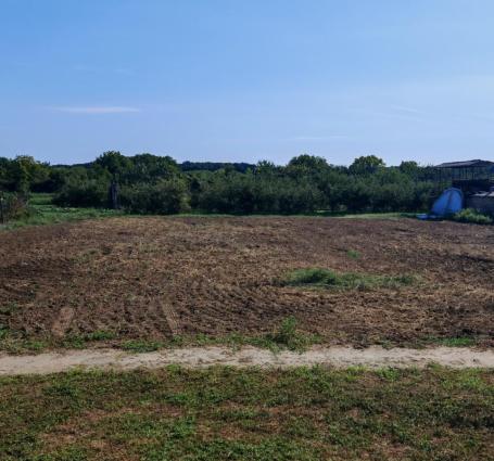 Bački Breg. Građevinski plac 12ar