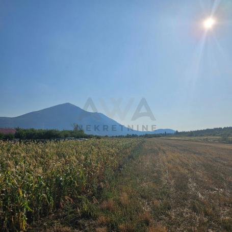 Boljevac - Ilino, podnozje planine Rtanj, poljoprivredno zemljiste 7478m2