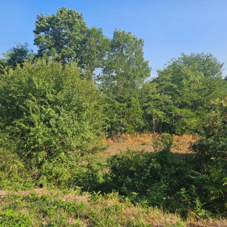 Boljevac - selo Boljevac Dve parcele u komadu povrsine 1341m2