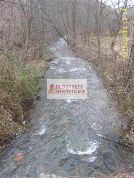 - brus , podnozje Kopaonika sf 2525