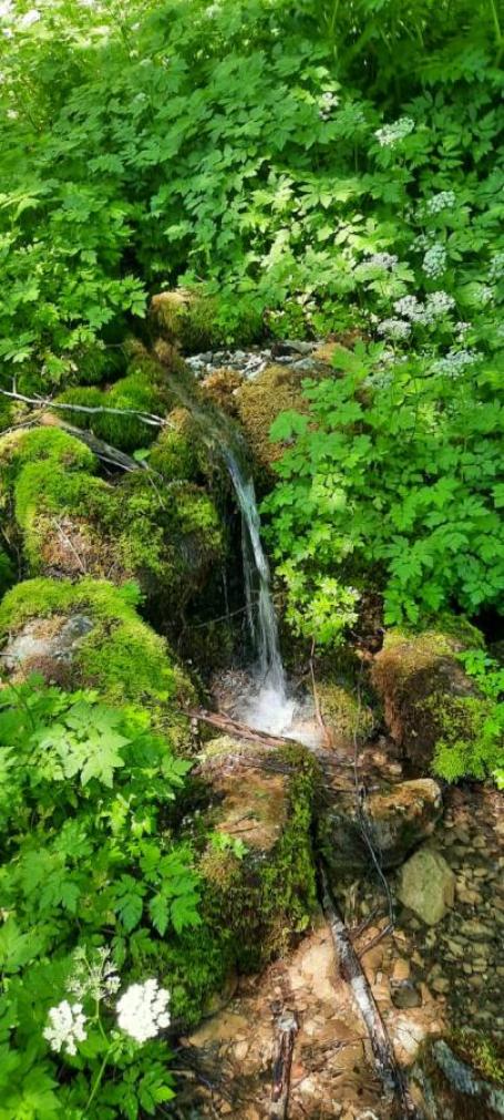 Attractive land for sale in Štitarica-Mojkovac