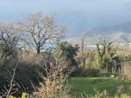 Land for Sale Near Luštica Bay – Sea View