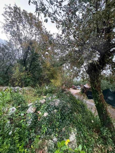 Plot with sea view in Orahovac, Kotor – 2800 m2