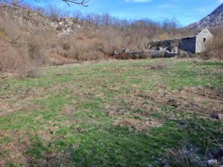 Land for sale, 93700m2 Risan