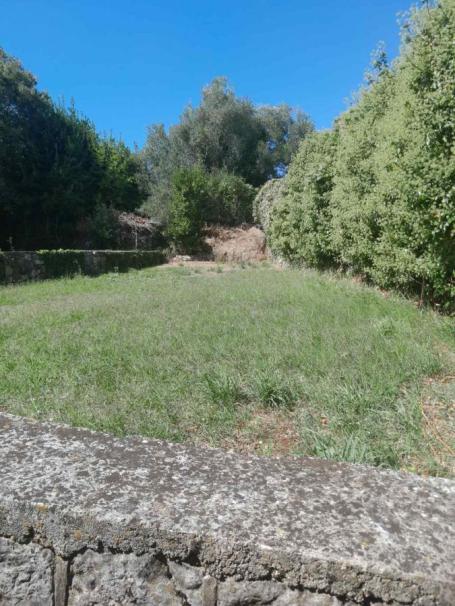 Big land with two stone houses