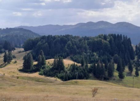 Building Land with a Nature View – Žabljak