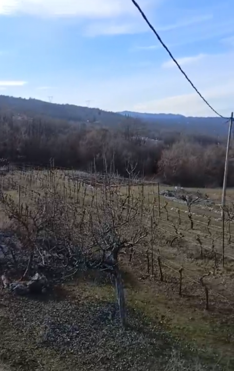 Land for Sale 40,000 m2 in Podgorica