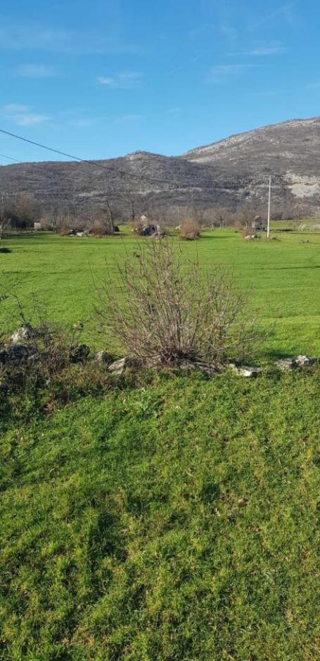 Plot for Sale – Nikšić