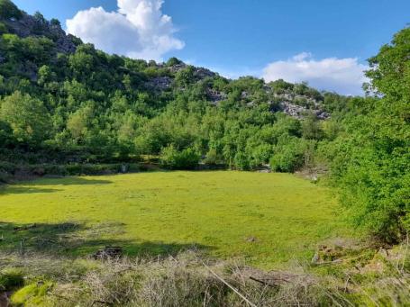 Parceled Land for Sale, Lješanska Nahija, Štitari