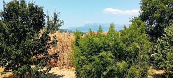 Family house for sale in Radanovići, Kotor