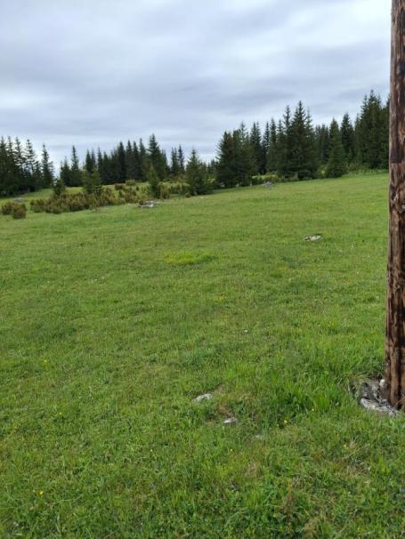 Building Plot for Sale in Žabljak – 7,800m²