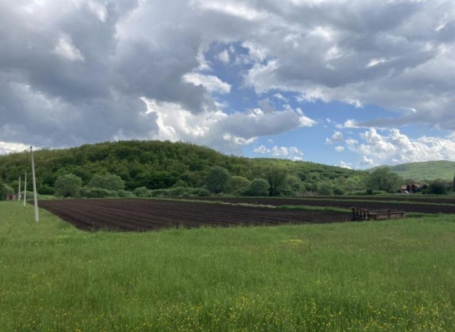 Urbanized Plot for Sale, 21000m2, Nikšić, Rastovac