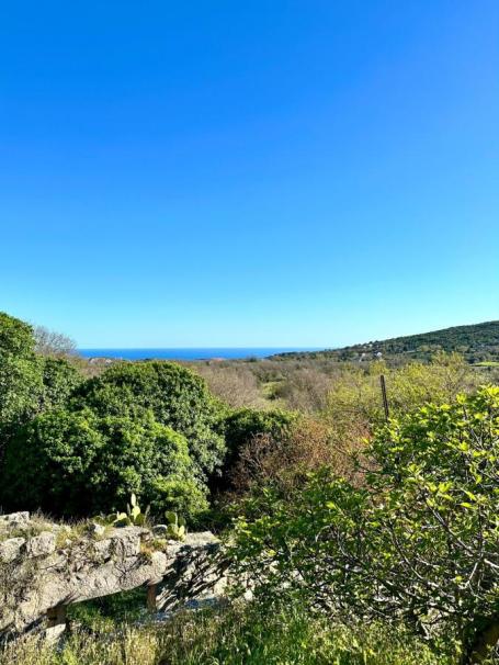 Urbanized plot with sea view – Kotor