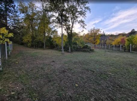 Fruška gora- POPOVICA plac 5000m Staroiriški put, na vrhu