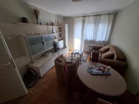 Jednoiposoban namešten stan Nova detelinara