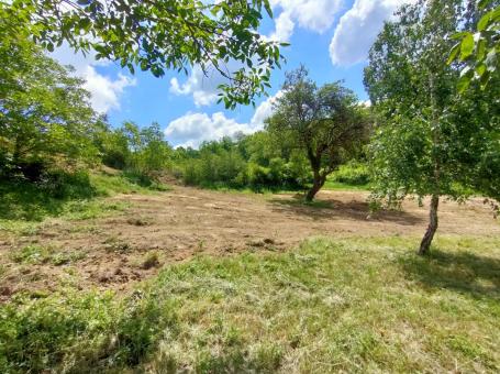 Gradjevinski plac 1500m Fruška gora Rakovac -Dolača za Vikendicu
