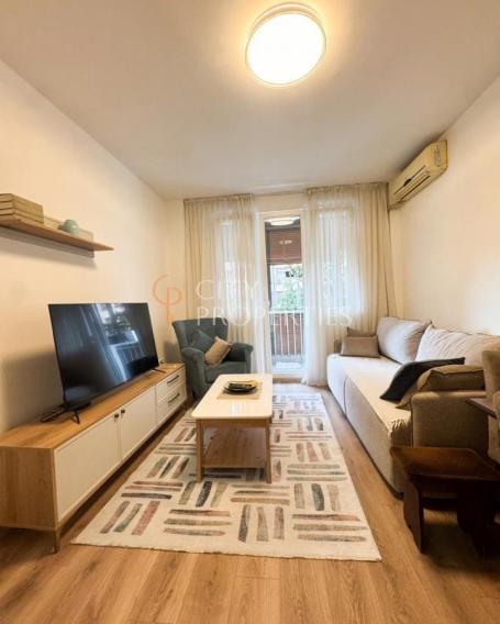 Jednosoban stan 45m2, Izdavanje, Podgorica