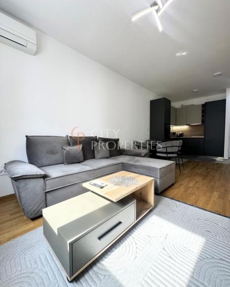 Jednosoban stan 46m2, Izdavanje, Podgorica