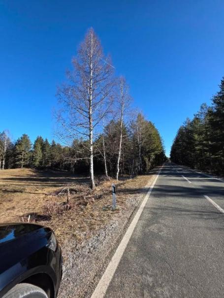 Plac 500m2, Prodaja, Žabljak