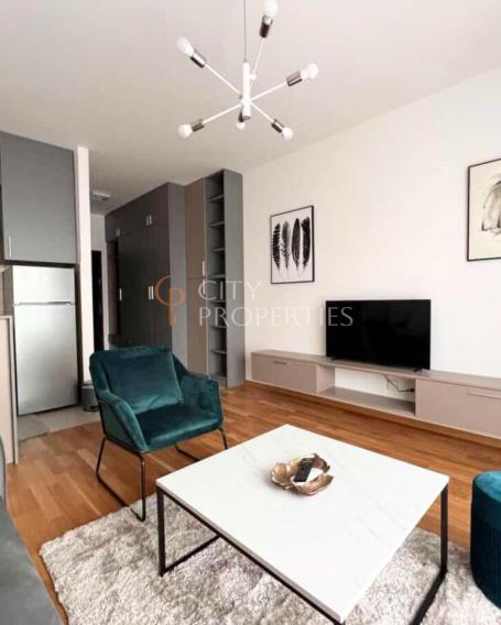 Garsonjera 31m2, Izdavanje, Podgorica