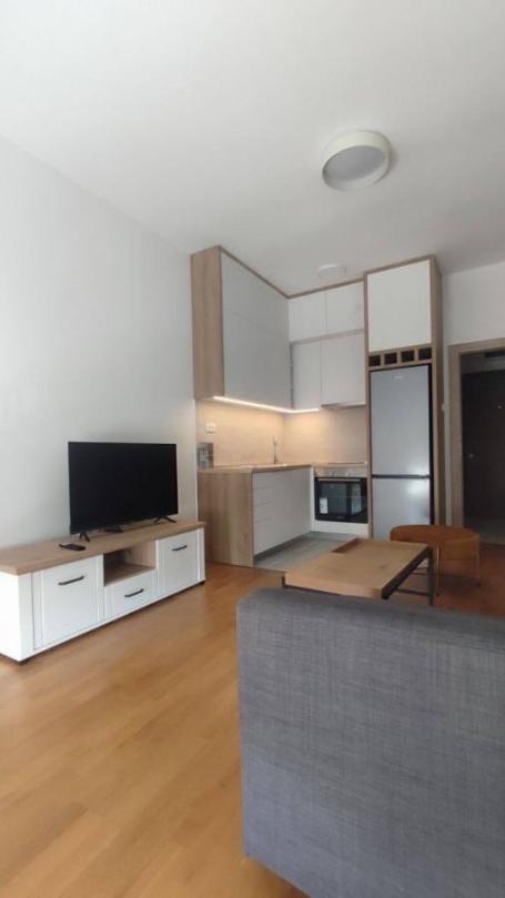 Garsonjera 30m2, Izdavanje, Podgorica