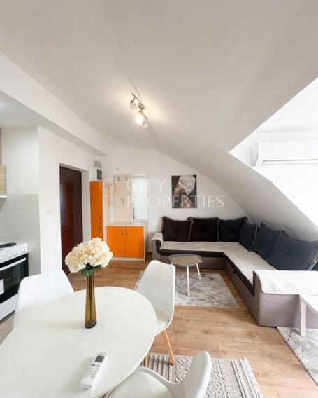Jednosoban stan 46m2, Izdavanje, Podgorica