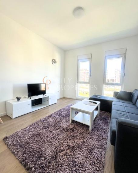 Garsonjera 30m2, Izdavanje, Podgorica
