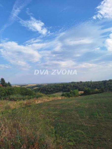Plac Čortanovci 11 ari-Izuzetna prilika – uz asfalt!