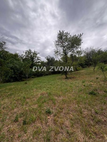 Na prodaju plac 11 ari u Čortanovcima – prirodni raj nadomak grada!