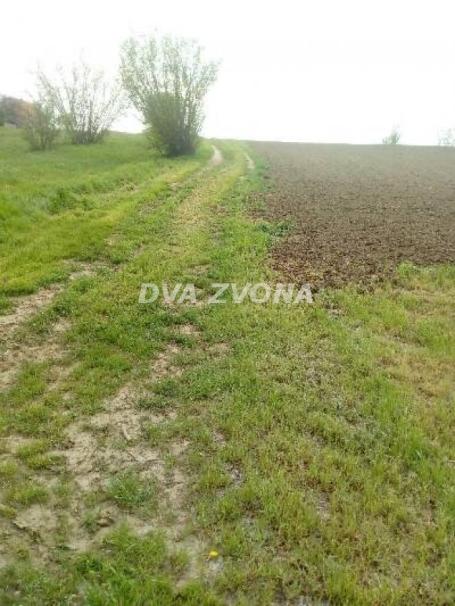 50 ari – ekskluzivna prilika na Fruškoj gori!