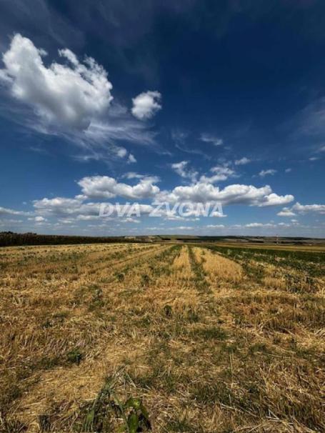 PRODAJA POLJOPRIVREDNOG ZEMLJIŠTA – ČORTANOVCI, 11.510 m² ( 2 jutra)