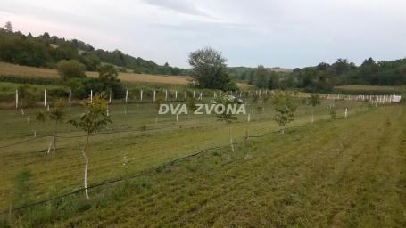 Na prodaju – 97 ari plodnog i građevisnkog zemljišta, Čortanovci, Duboki Dol!