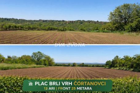 25 m FRONT! Plac na Belom Vrhu, Banstol (Čortanovci)