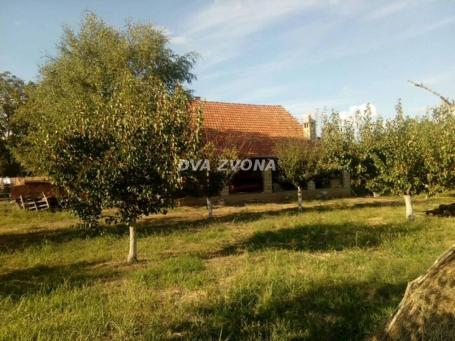 VIKENDICA U PRIRODI – Čortanovci-PLAC 17 ARI