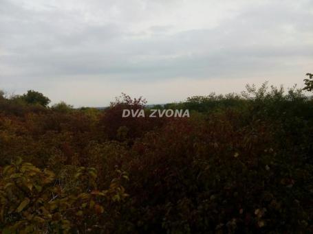 PLAC SA VIKEND OBJEKTOM – NOVI SLANKAMEN – FRONT 40m