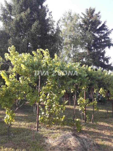 27 ari raja na Fruškoj gori – Vikendica u Krušedolu (Irig)
