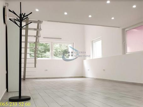 Palilula, Profesorska Kolonija - Ilirska 59m2