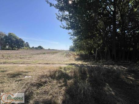 Prodaja građevinskog zemljišta – Pančevo-naselje Vojlovica